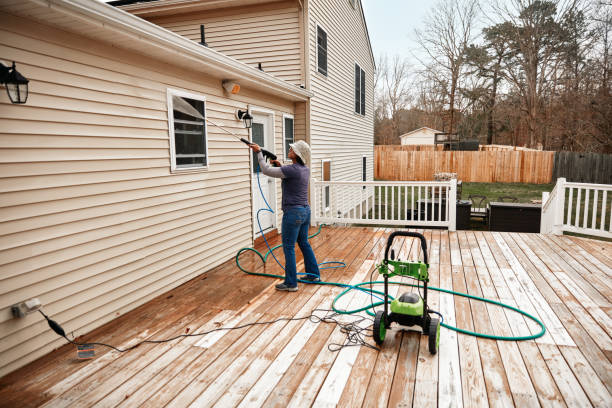 Best Affordable Power Washing  in Dayton, MN