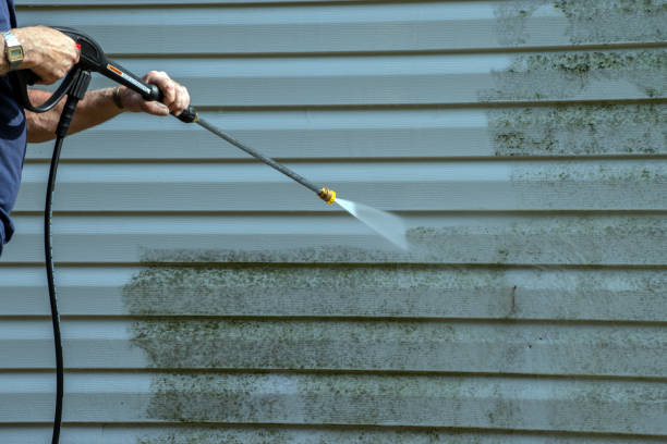 Best Concrete Pressure Washing  in Dayton, MN