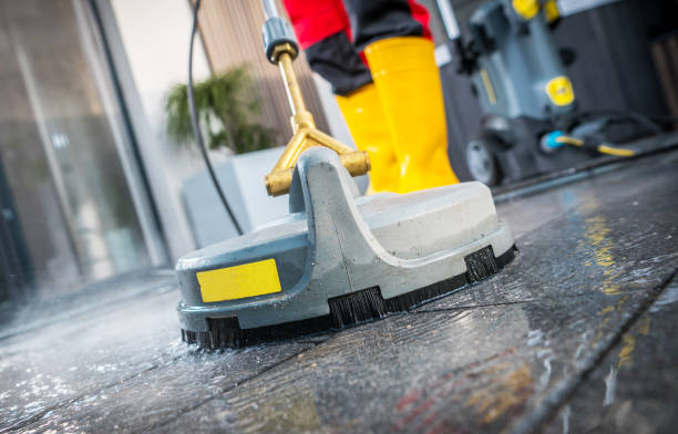 Best Pressure Washing Services Near Me  in Dayton, MN