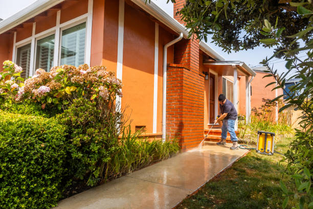 Best Fence Pressure Washing  in Dayton, MN