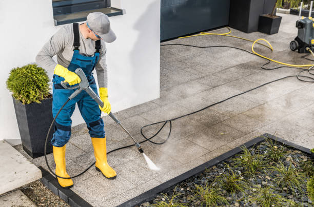 Best Best Pressure Washing Companies  in Dayton, MN