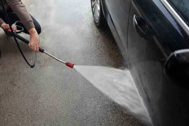 Best Roof Pressure Washing  in Dayton, MN