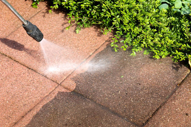 Best Sidewalk Pressure Washing  in Dayton, MN